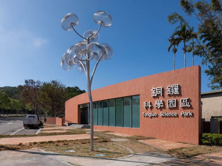 《彩光杭菊》-延伸_日_小檔